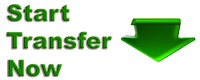 Start Domain Name Transfer