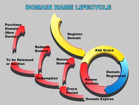 Understanding Domain Life Cycle